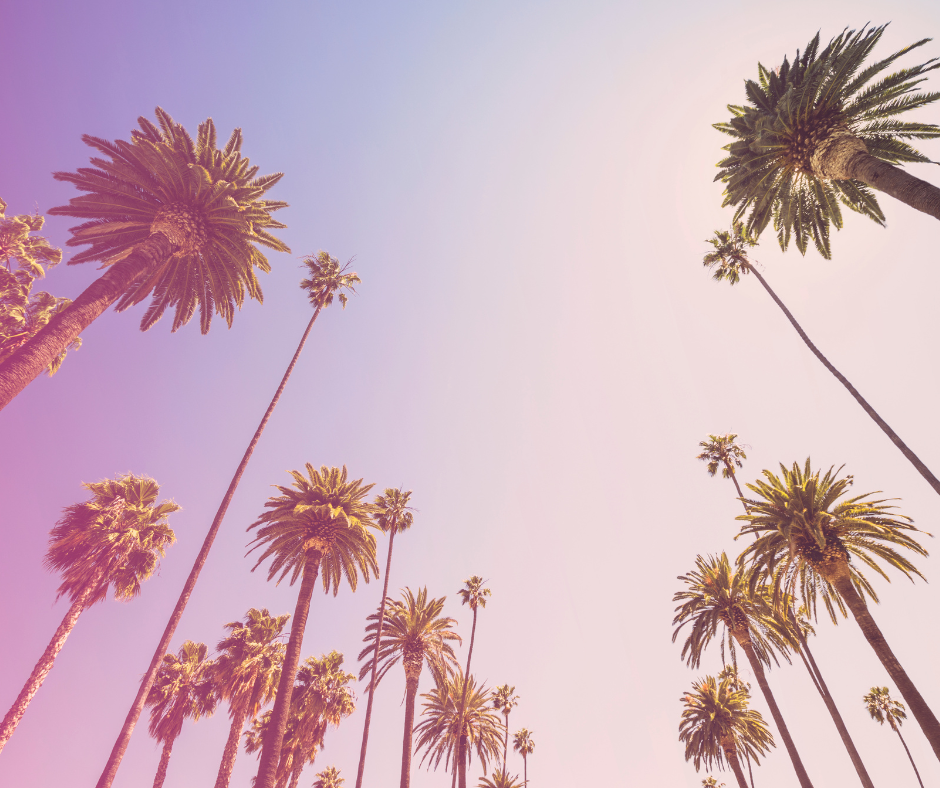 California palm trees under a dreamy sky, capturing the essence of Hollywood romance and second chance love stories.