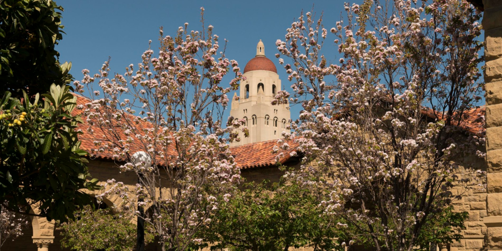 Stanford’s iconic Hoover Tower framed by blooming cherry blossoms, symbolizing spring and new beginnings in Deep End by Ali Hazelwood, a sports romance book.